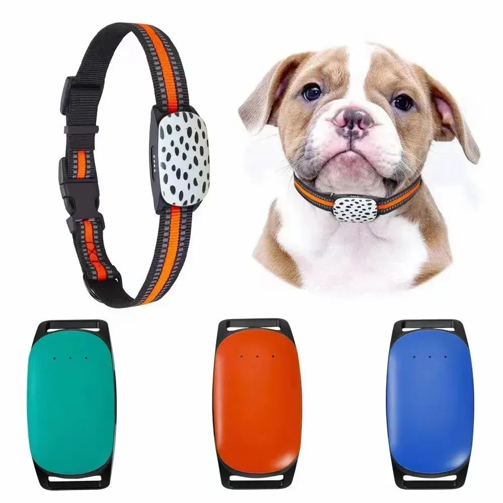 Rastreadores 4G Animais de Estimação Rastreador GPS com Cartão Sim À Prova D 'Água Antifurto Rastreador em Tempo Real Coleira de Cachorro Aplicativo de Rastreamento Gratuito para Localizador Antiperdido de Cão