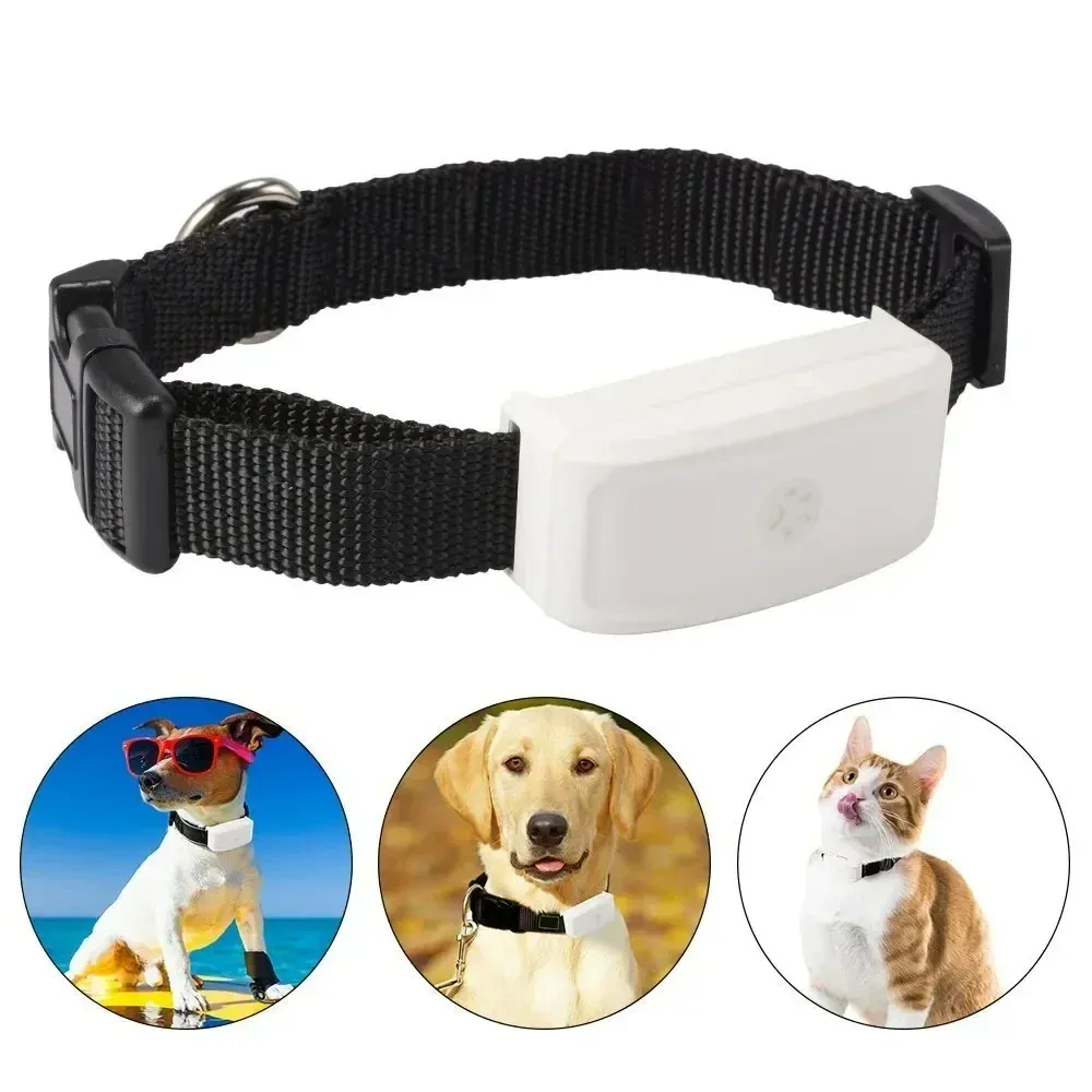 Rastreadores 2G GSM GPS Tracker Pet GPS Locator Mini Anti Lost Pets Tracker com aplicativo gratuito IP67 à prova d'água SOS Alarme para cão gato nova chegada