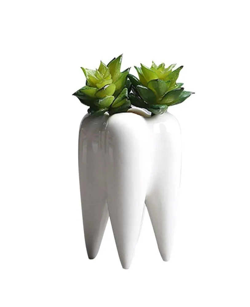 Forma del dente Desktop Ceramica Piante grasse Vaso Design moderno Mini fioriera Vasi Vaso di fiori Decor C190419016610216