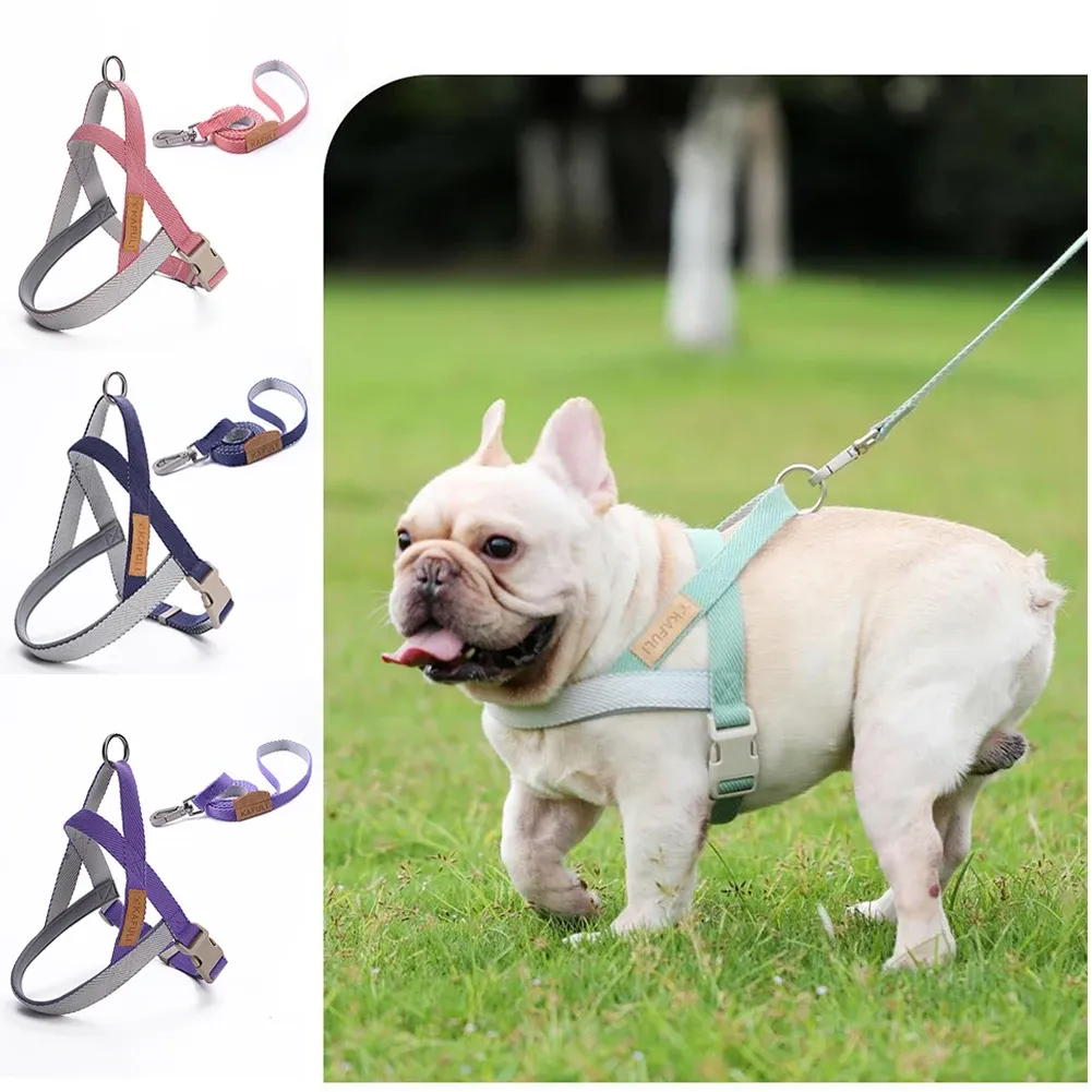 Harnesses Dog Harness Leash Set Adjustable Pet Walking Training Vest For Medium Small Dogs No Pull Puppy Kitten Chest Strap Traction Rope