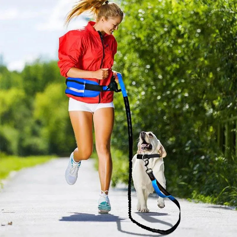 Hundehalsbänder, freihändige Gürteltasche, Leine für Haustiere, zum Laufen, reflektierend, verstellbar, mit Traktionsseil