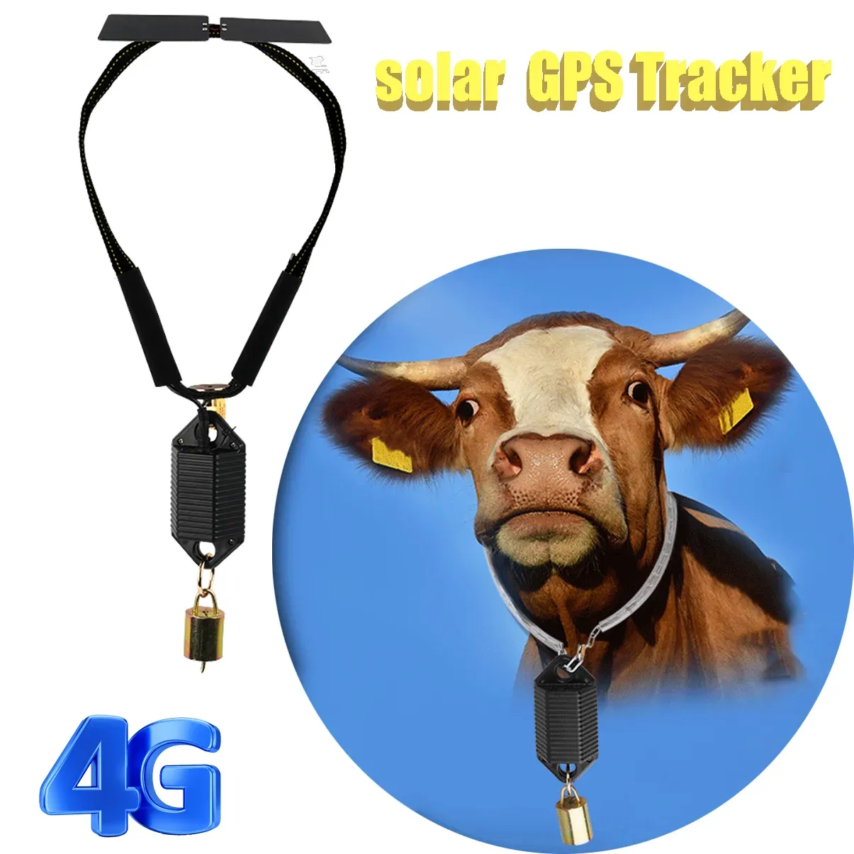 Trackers 4G Tracker GPS de vache animale avec énergie solaire localisateur de moutons de chevaux de bétail dispositif de suivi GPS anti-perte pour traqueur de bétail de chameau