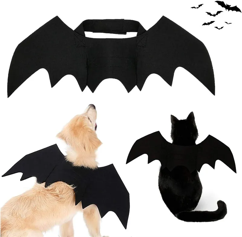 Mignon Halloween drôle animal de compagnie chauve-souris feutre ailes vêtements chien petit chien chat chien ailes Transformation vêtements