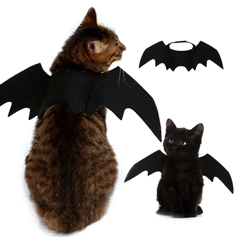Vêtements pour animaux de compagnie, ailes de chauve-souris noires, harnais mignon d'halloween, Costume Cosplay chat chien fête d'halloween, fournitures pour animaux de compagnie