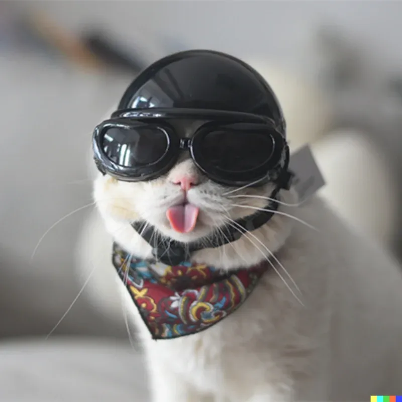 CAPS PET Hjälmar Anticollision Mini Motorcykel Hjälm Pet Hat Dog Hjälm Stilig Halley Pet Helmet Hat For Cat Pet Accesories
