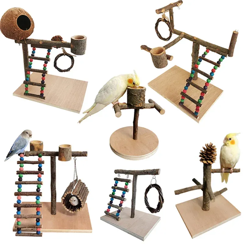 Toys Solid Wood Parrot Stand Training Bird Stand Parrot Toys Desktop Training Stand Pole Interactive Playground Small Pet Supplies