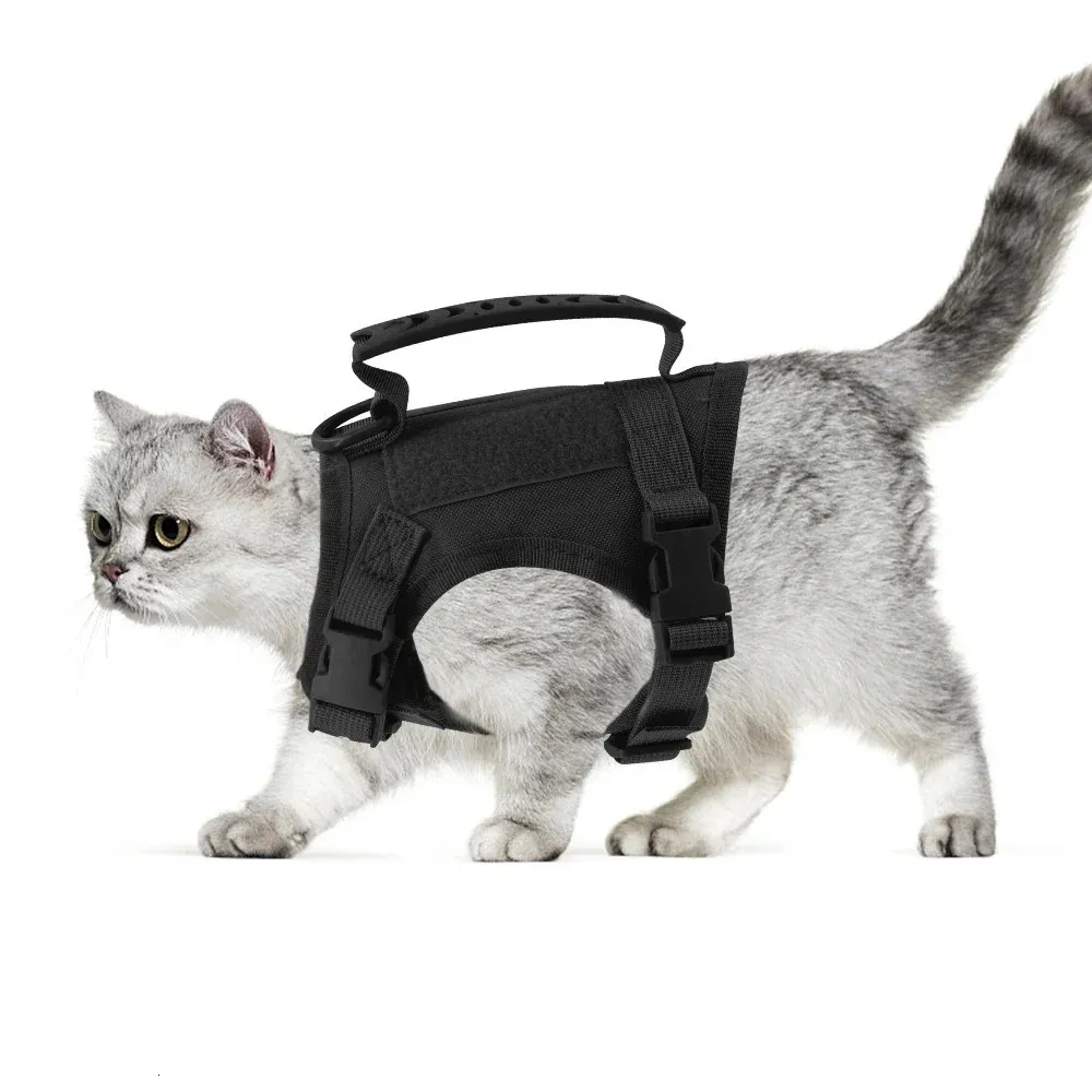 Harnais tactique et laisse pour chat, gilet réglable avec sangle de poignée, harnais de sécurité pour entraînement à la marche pour petit chien 240229