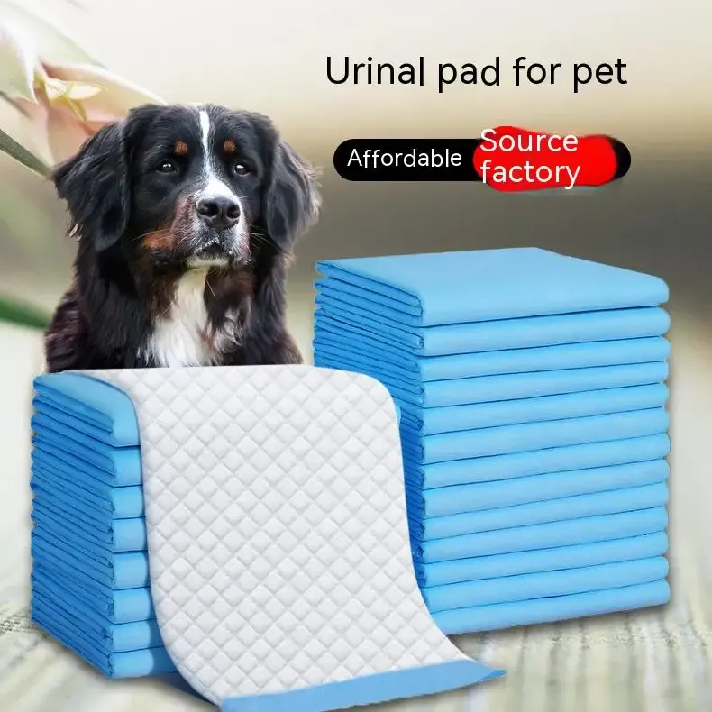 Fraldas superabsorventes para cães, almofadas de treinamento para cachorros, limpeza de xixi, suprimentos para animais de estimação, almofadas de treinamento, fraldas saudáveis para gatos