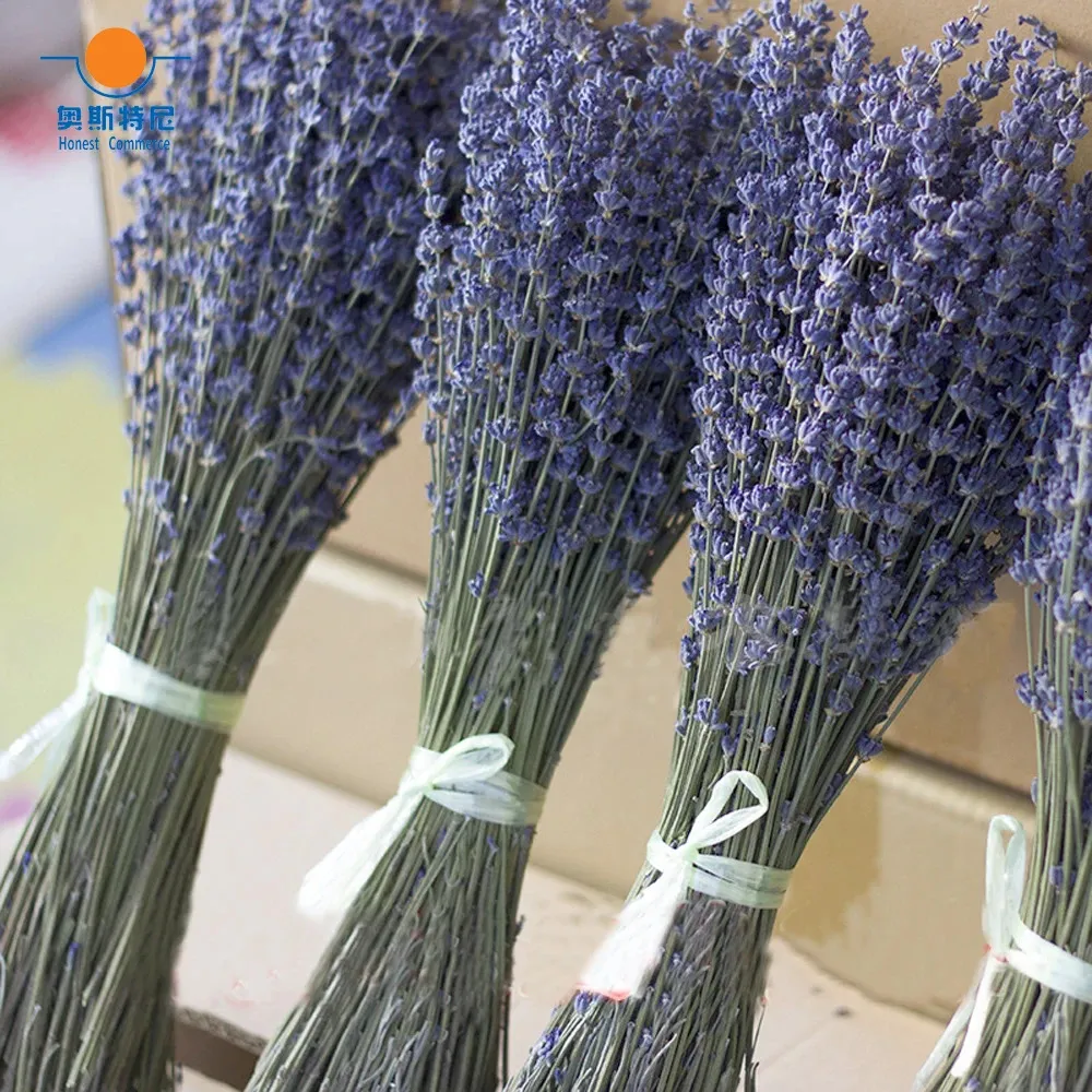 100g dried natural flower bouquets Lavender bouquet lavender Bunches 240223