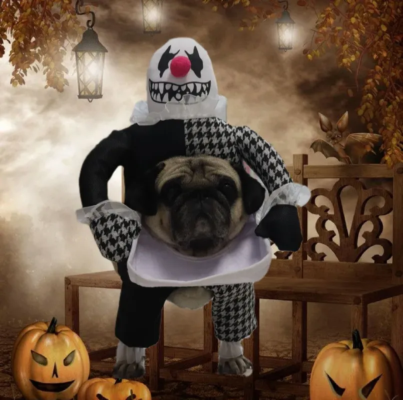 DHgate Halloween Pet Dog Clown Costume for Small Dogs Funny Cat Cosplay Outfit for Halloween Party Carnival Fancy Dress Home Garden