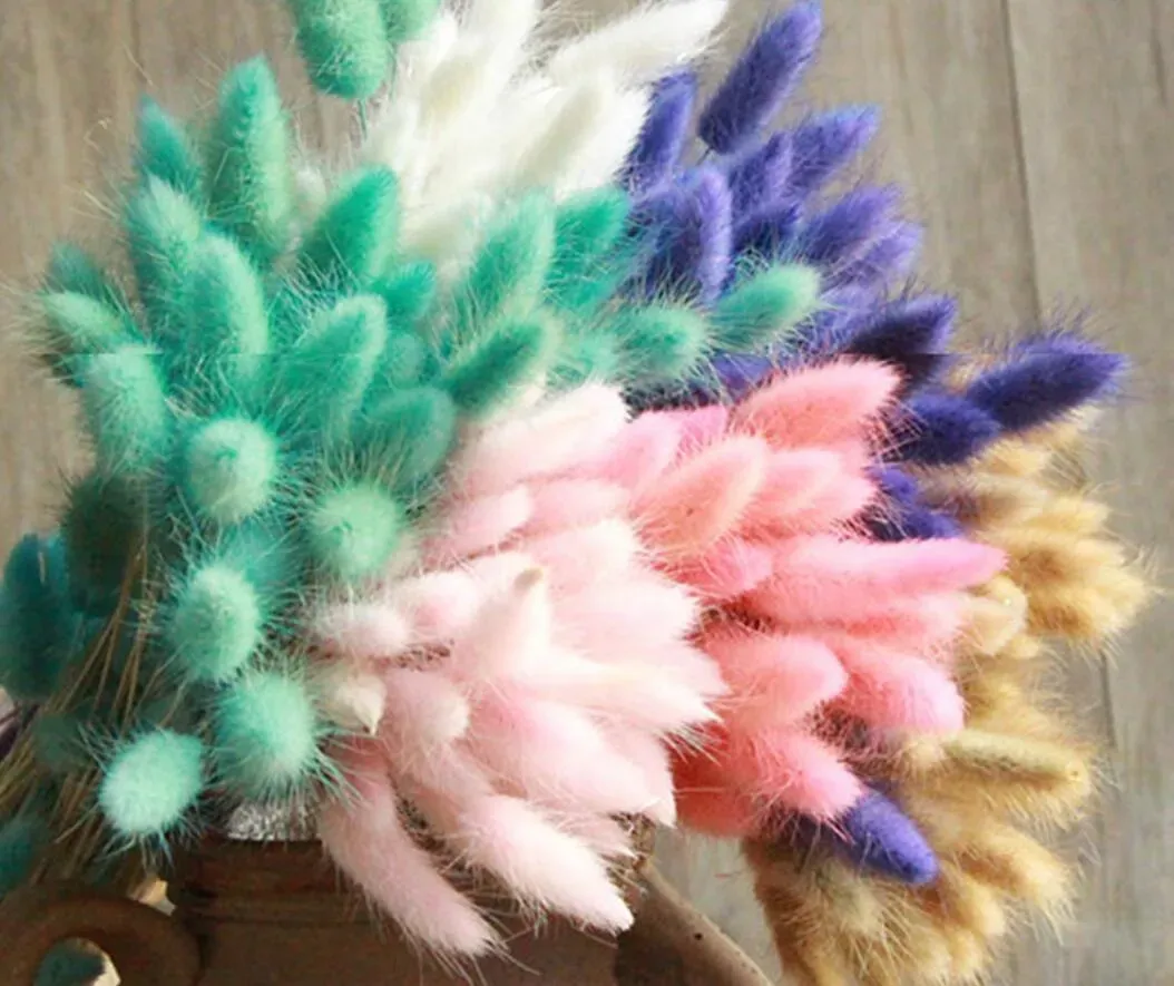 50st/Lot Natural Gradient Torked Flowers Bridal Bouquet Easter Home Decorations Rabbit Tail Grass Easter Decorations 2024303