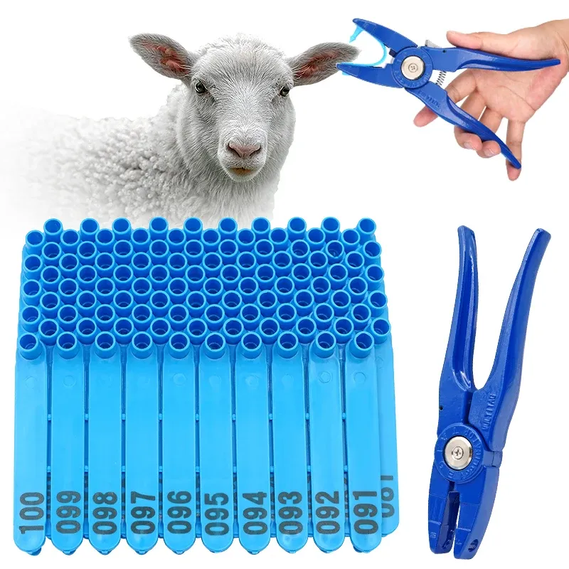 Zubehör Vieh Tier Ohrmarke Karten Zangen Hund Kaninchen Schafe Ohrmarken Nylonmaterial Schafe Laser Ohrmarke mit Worten