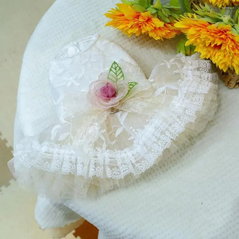 Abbigliamento per cani Tessuto di alta qualità Vestito per cuccioli Vestito per animali alla moda Principessa traspirante con decorazione floreale 3D in rete per la primavera