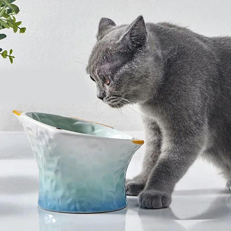 Benodigdheden Keramische viskom voor huisdier, uniek gestileerd, Nect Protect, handgemaakt glas, kat en kleine hond