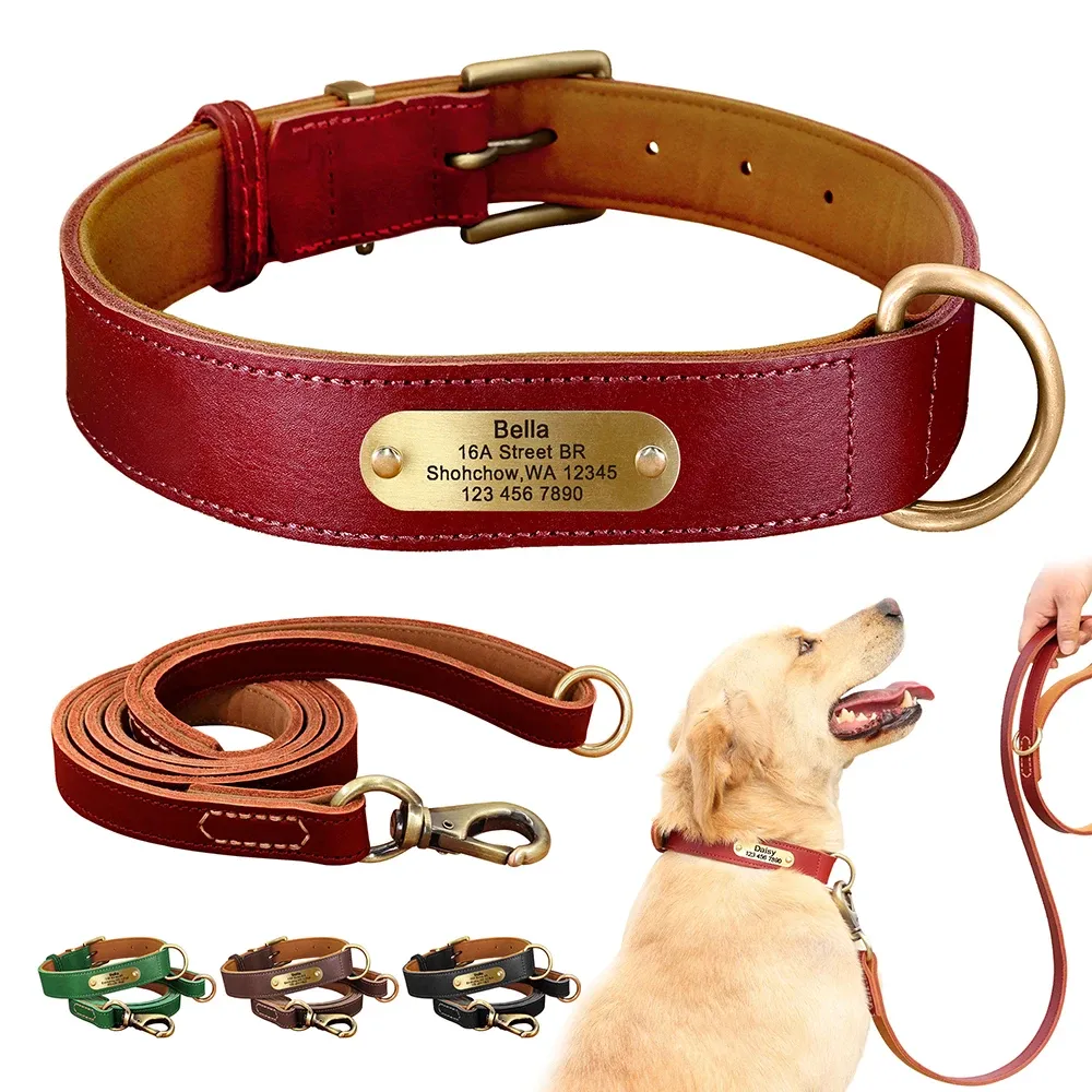 Pet id collars discount