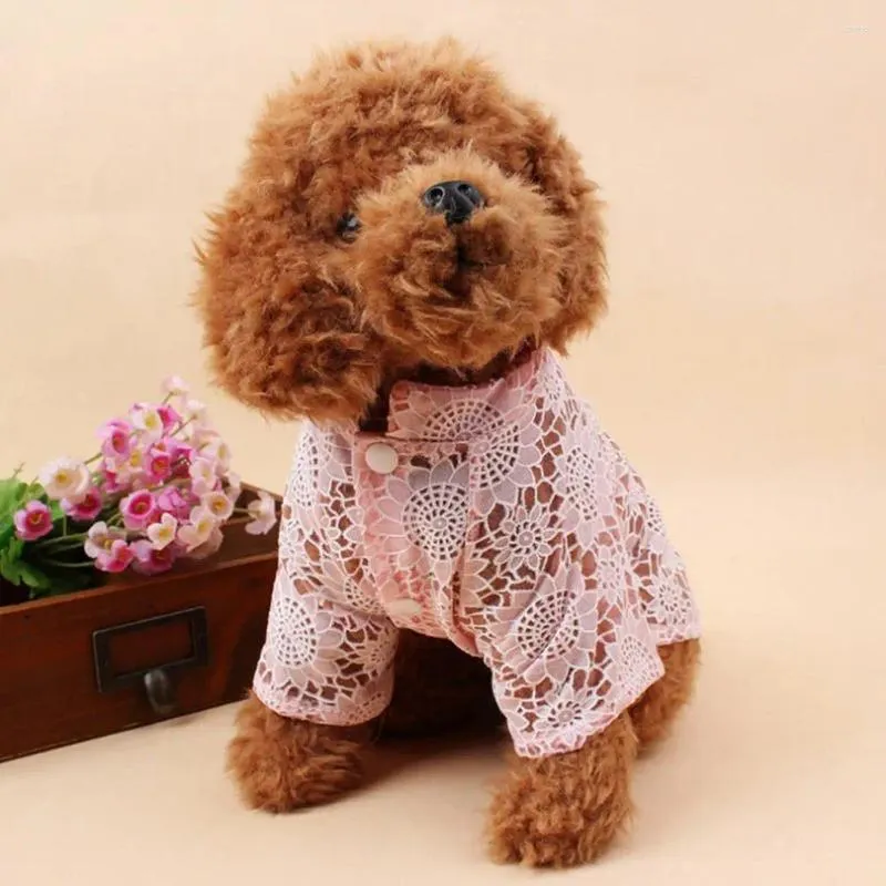Abbigliamento per cani Facile da indossare Vestiti per animali domestici Abiti estivi in pizzo morbido e traspirante per la primavera Comodo scavato