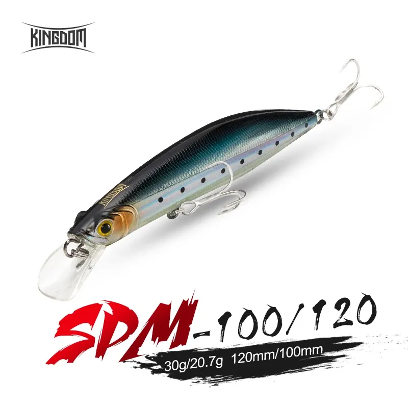 Lures Kingdom Floating Minnow Fishing Lares 100 mm 20,7g 120 mm 30g Proison professionnelle Baudit dur Wobblers Crankbaits