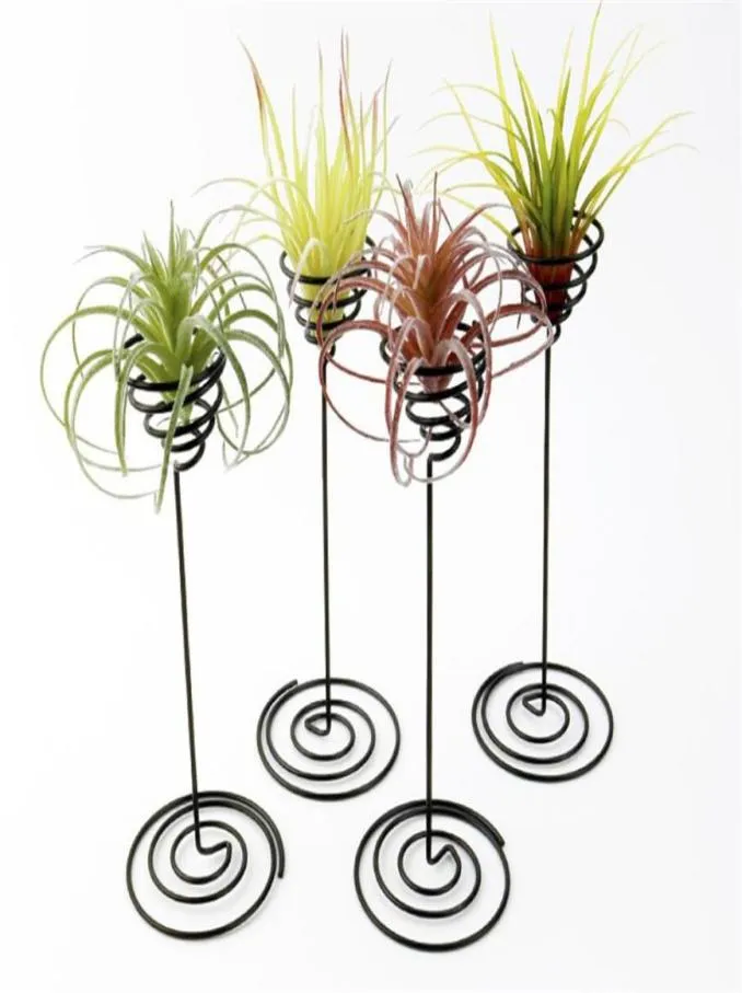 Decorazioni da giardino Supporto per piante ad aria Supporto per fiori a spirale in ferro nero Contenitore AirPlant Tillandsia XB16839976