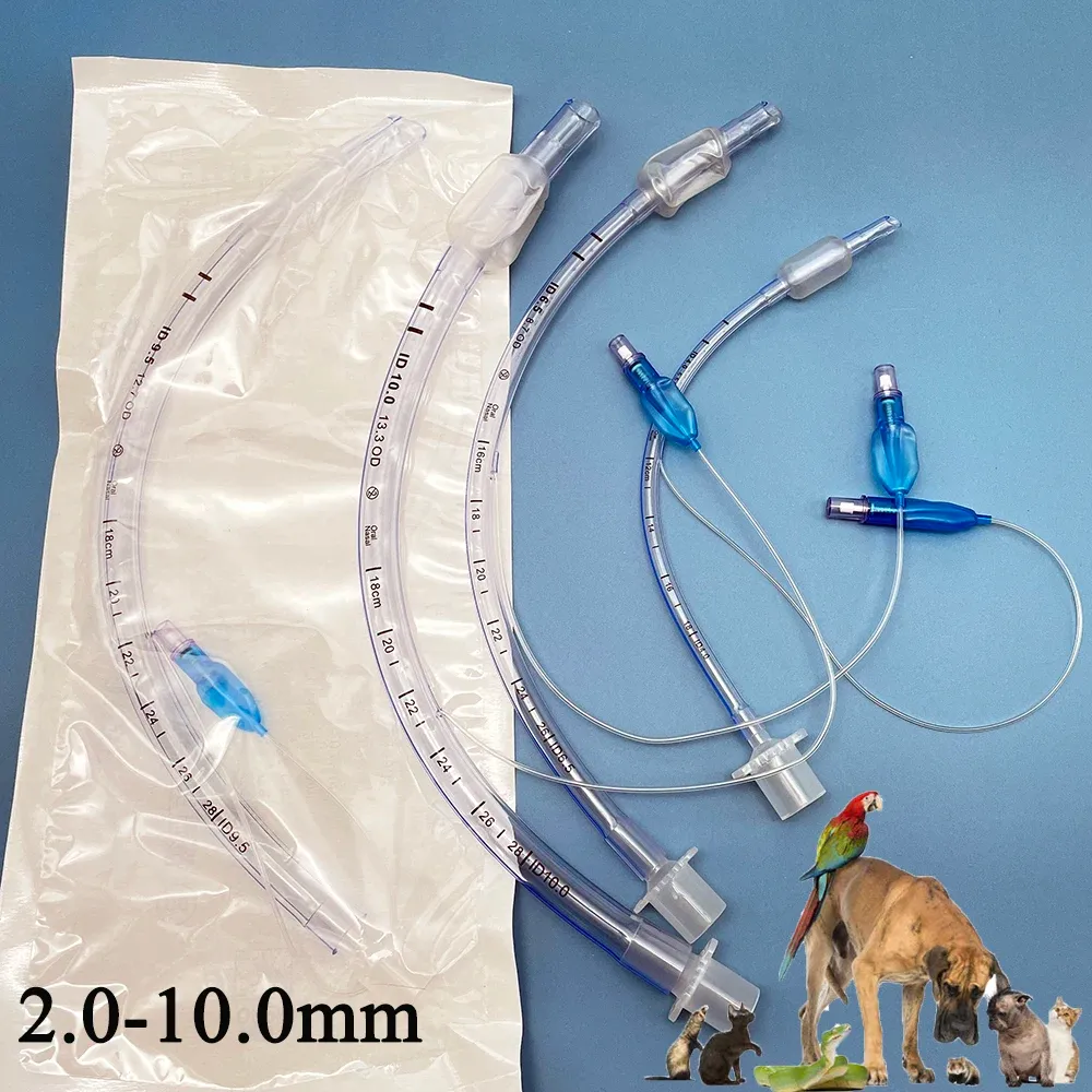 Instruments 5PCS Pet Cat Dog Rat Guided Endotracheal Intubation Inhalation Ball Balloon ET Tube Cuffed Inflation Airway Visualise Associated