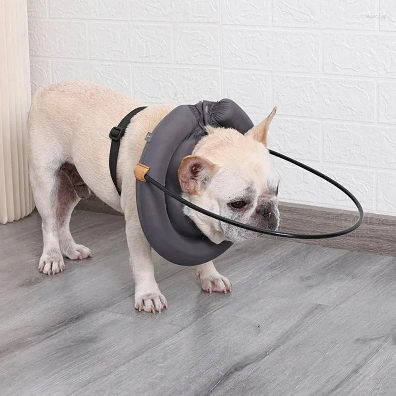 Hundhalsar husdjur säker stötfångare anti-kollision för att förhindra kollision blindtillbehör