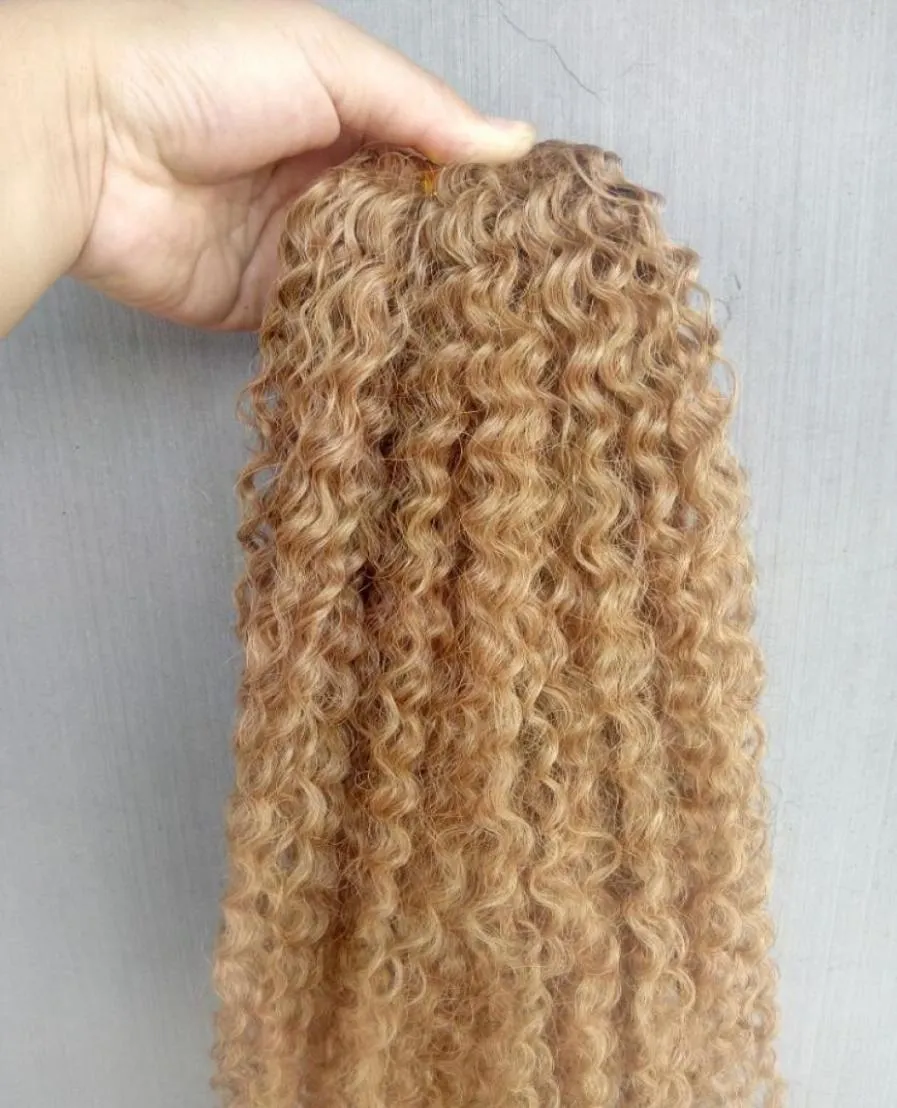 Braziliaanse Virgin Remy Kinky Krullend Haar Weft Human Extensions blond 270 Kleur 100g een bundel Weaves4782064