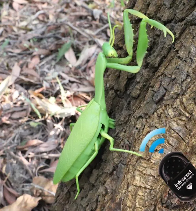 Infraröd RC fjärrkontroll realistiska mini mantis insekt skrämmande trick leksak simulering djur roliga prank barn för barn leksak gåva y7953881