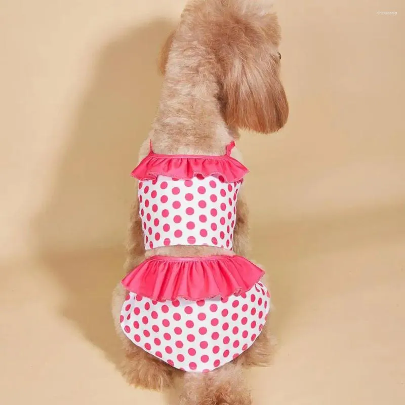 Hundebekleidung, Strand-Outfit, buntes gepunktetes Haustier-Badeanzug-Set für kleine Hunde, bequeme Strandbekleidung, Bikini-Kleid, Katzen, süß