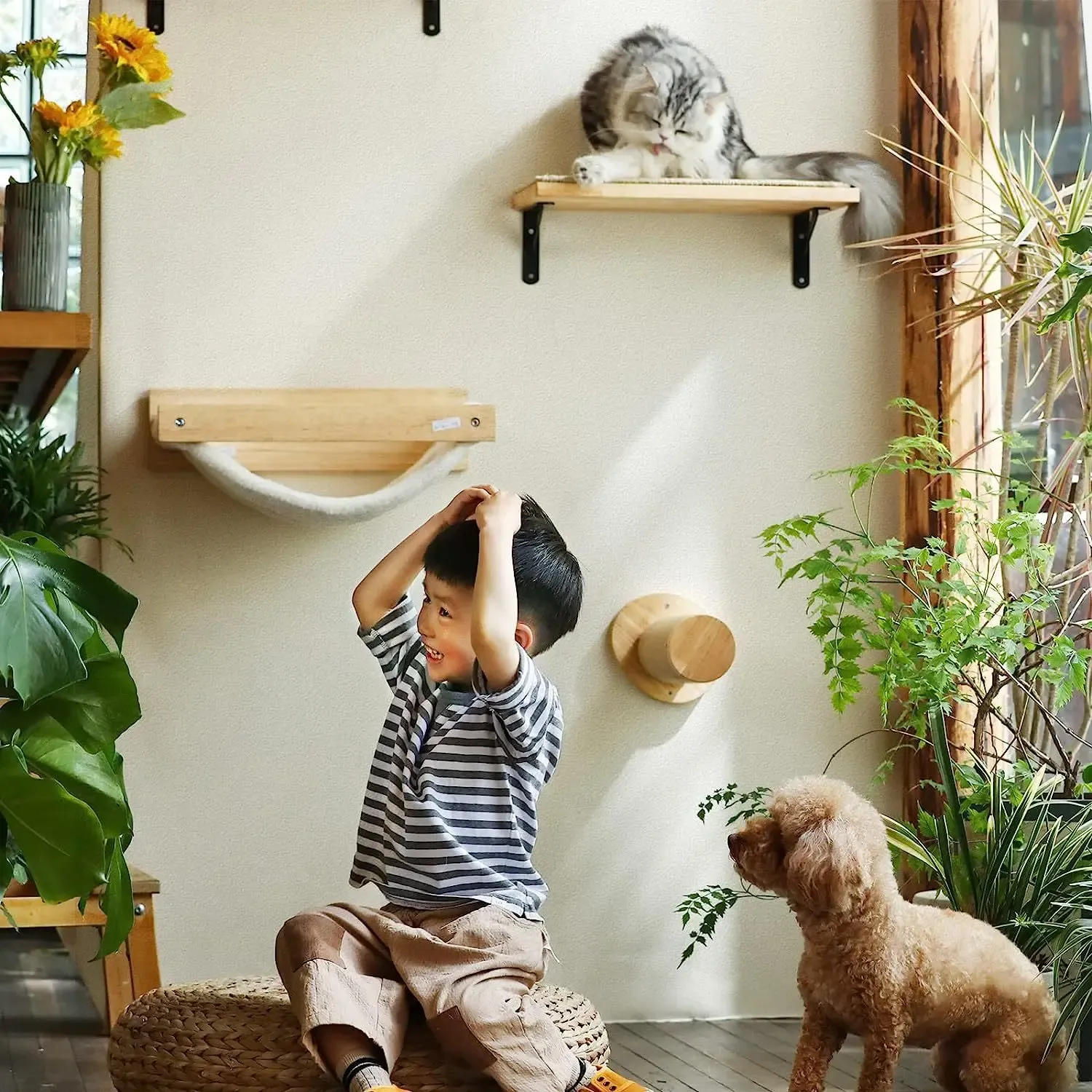 Скретчики кошки на стене дерева монтируют кошко