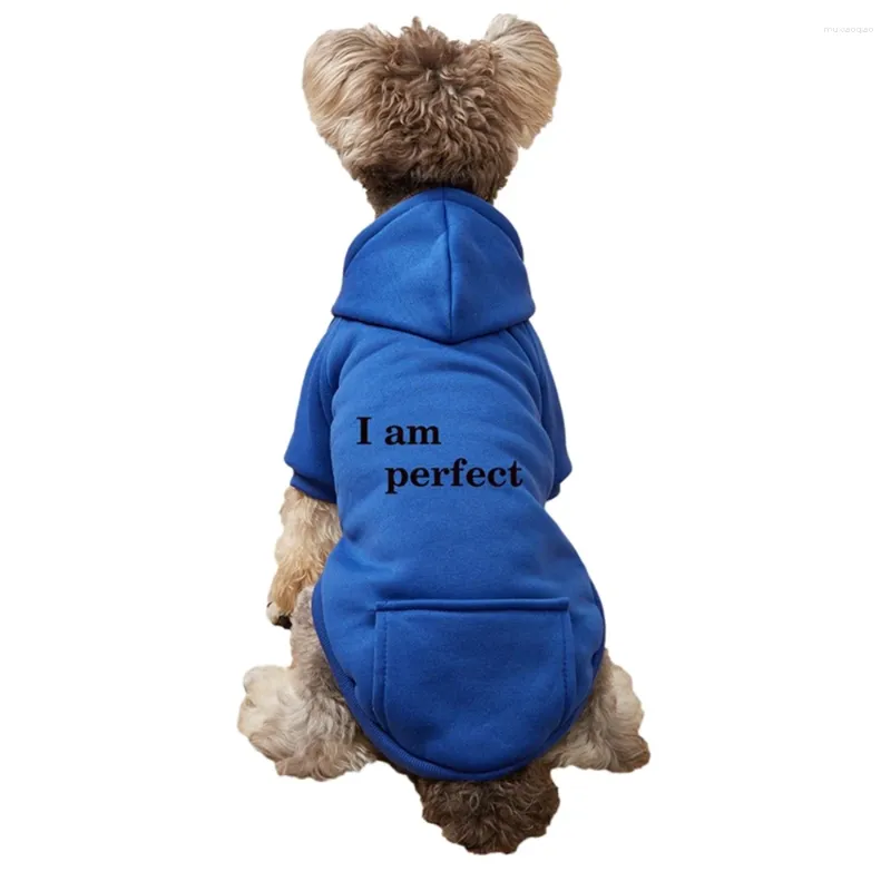 Vêtements pour chiens automne vêtements pour animaux de compagnie sweats à capuche hiver chaud chiot petit moyen chats chiens sweat français chihuahua carlin