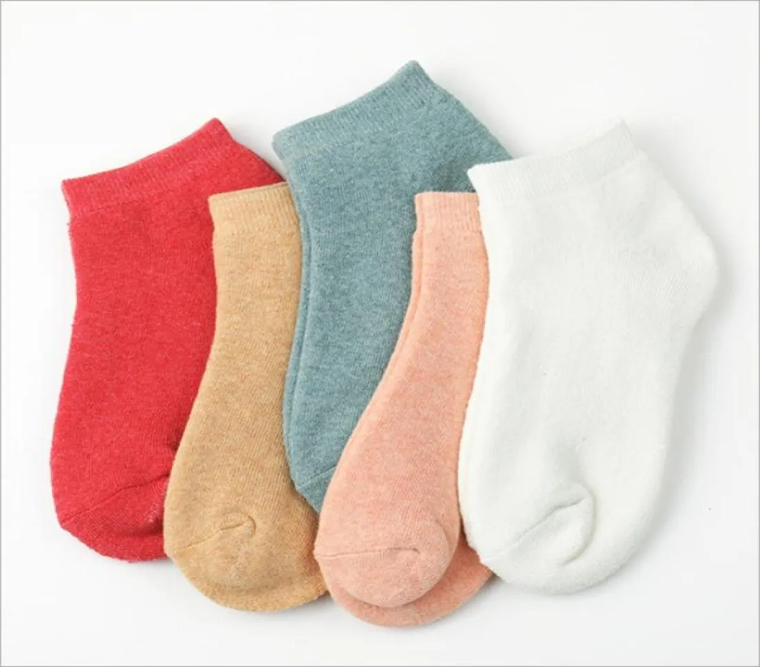 Usine directe automne et hiver couleur bonbon chaussettes éponge serviette chaussettes bateau chaussettes femmes 7763533