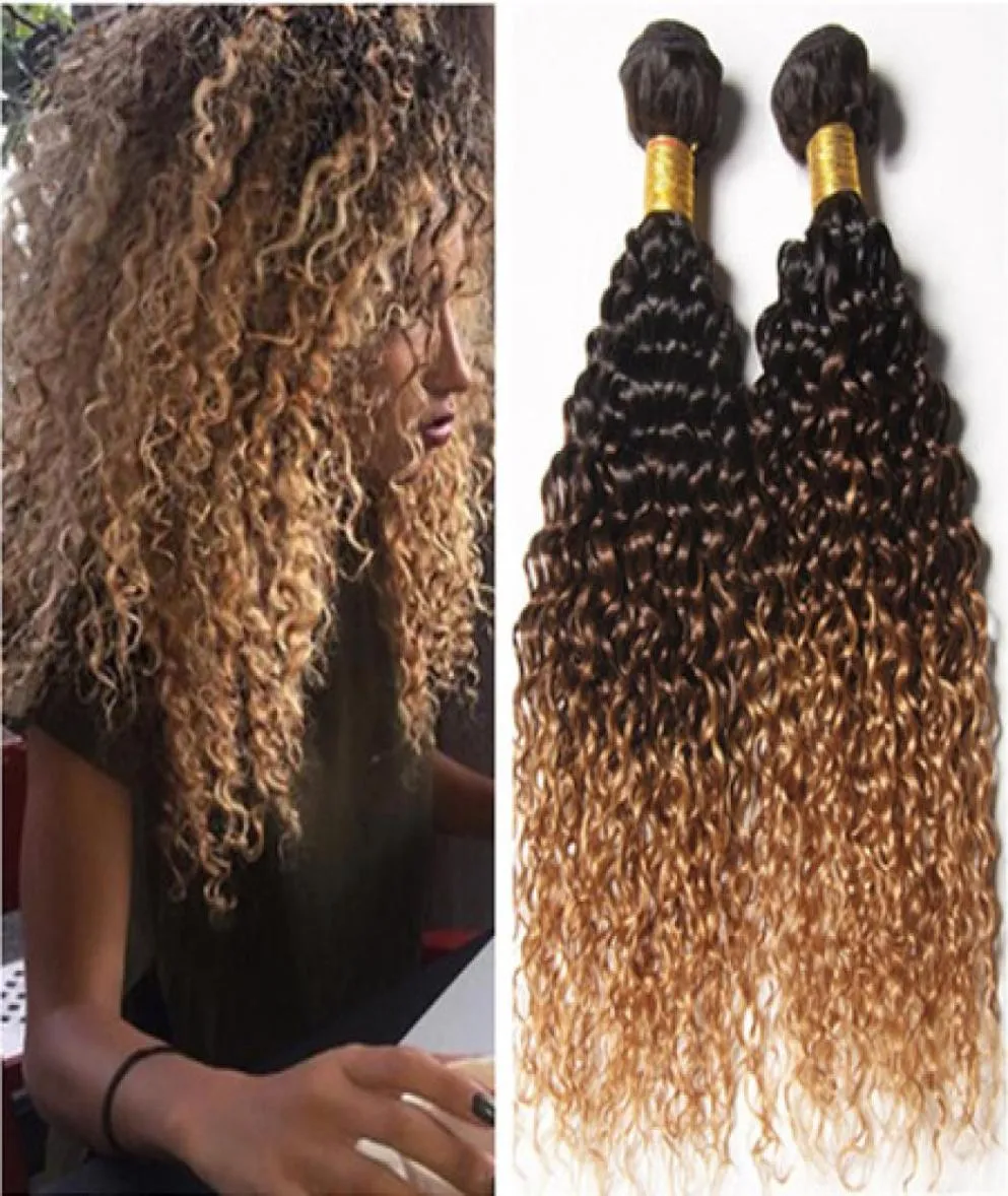Перуанские человеческие волосы Ombre 3 пучка Kinky Curly 1B427 Темный корень Коричневый медовый блондин Трехцветный Ombre Virgin Human Hair Weave Exte4024572