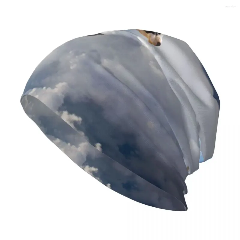 Baskar som flyger över moln superko stilfull stretch stickad slouchy beanie cap multifunktion skalle hatt för män kvinnor