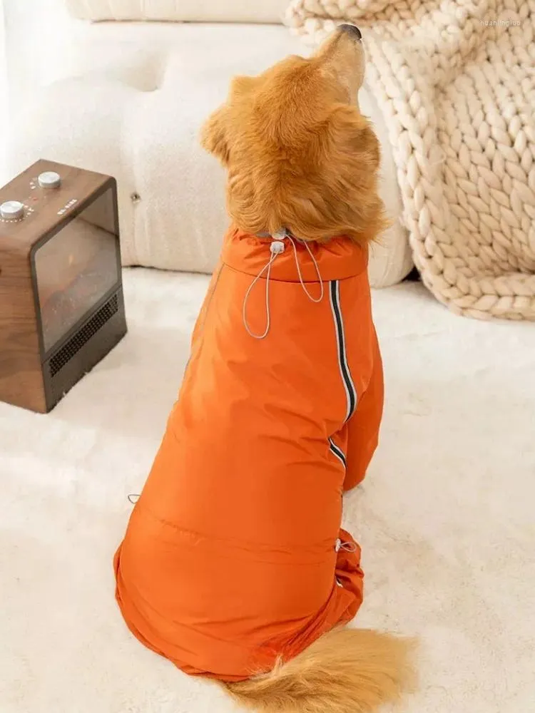 Vêtements pour chiens gros vêtements automne cheveux dorés Labrador Border Collie taille moyenne hiver résistant au froid vêtements d'extérieur à quatre pattes