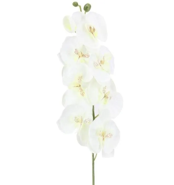 10 Teile/los Lebensechte Künstliche Schmetterling Orchidee Blume Seide Phalaenopsis Hochzeit Hause DIY Dekoration Gefälschte Blumen 1464 V23178956