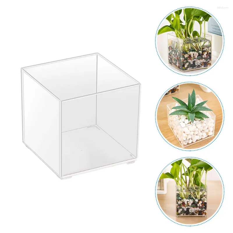 Vases 2 Pcs Hydroponic Plant Utensils Flower Vase Moss Ecological Vessel Dining Table Clear Terrarium Simple Pp Transparent Bottle