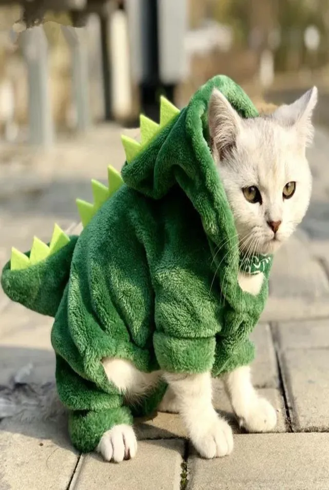 Haustier Katze Kleidung Lustige Dinosaurier Kostüme Mantel Winter Warme Fleece Katze Tuch Für Kleine Katzen Kätzchen Hoodie Welpen Hund Kleidung XSXXL6288224
