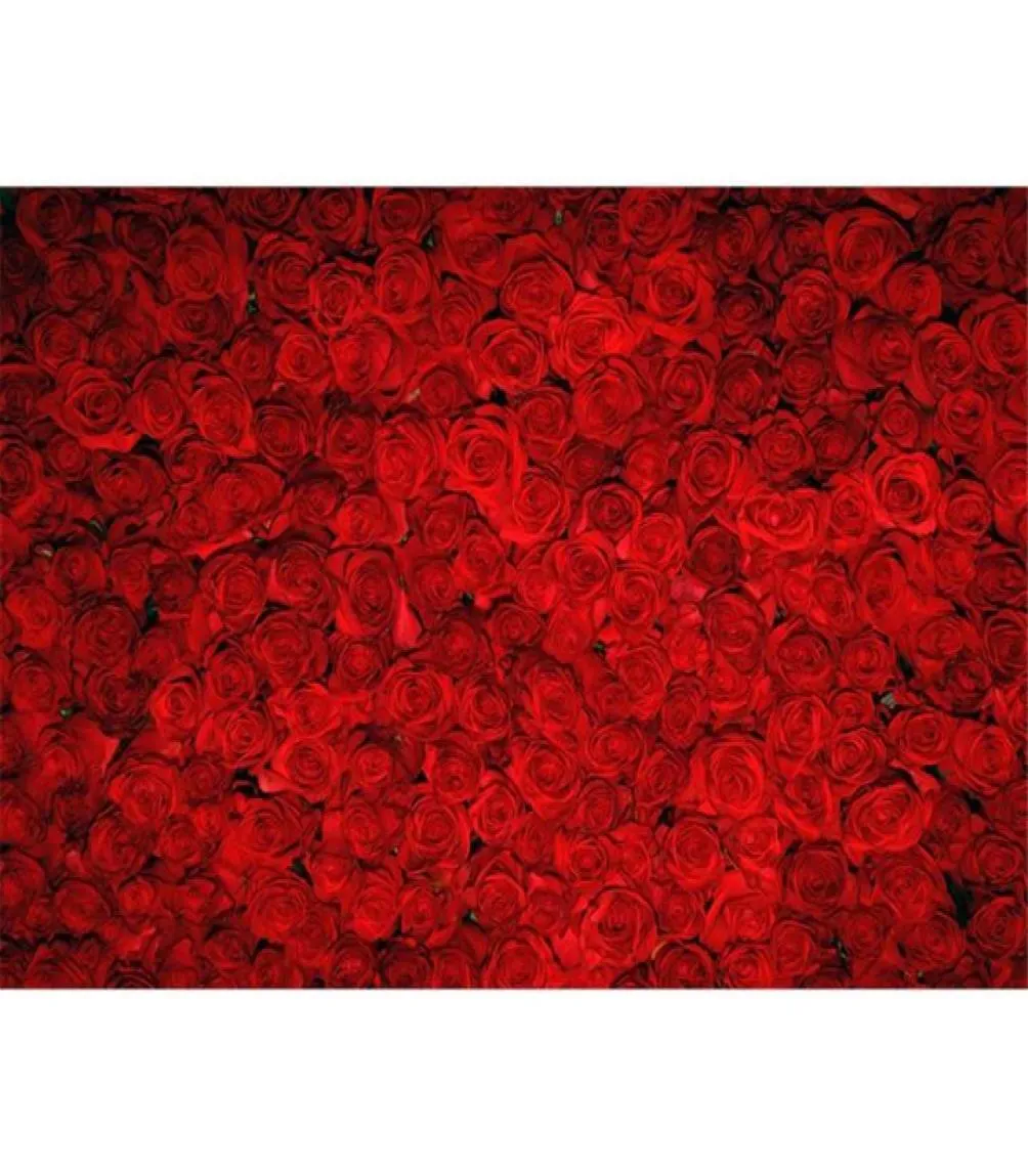 خلفية RED ROOS ROSES DIGITAL DIGITAL FORINENT Valentine039S Flowers Wall Wall Wedding Party PO Booth Background 5161571