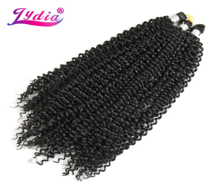 Lydia Bohemian Braids Emerme Hair Kurly szydełkowe włosy 14quot 1pcs czysty kolor Kanekalon Syntetyczne warkocze Afro Kinky3875685