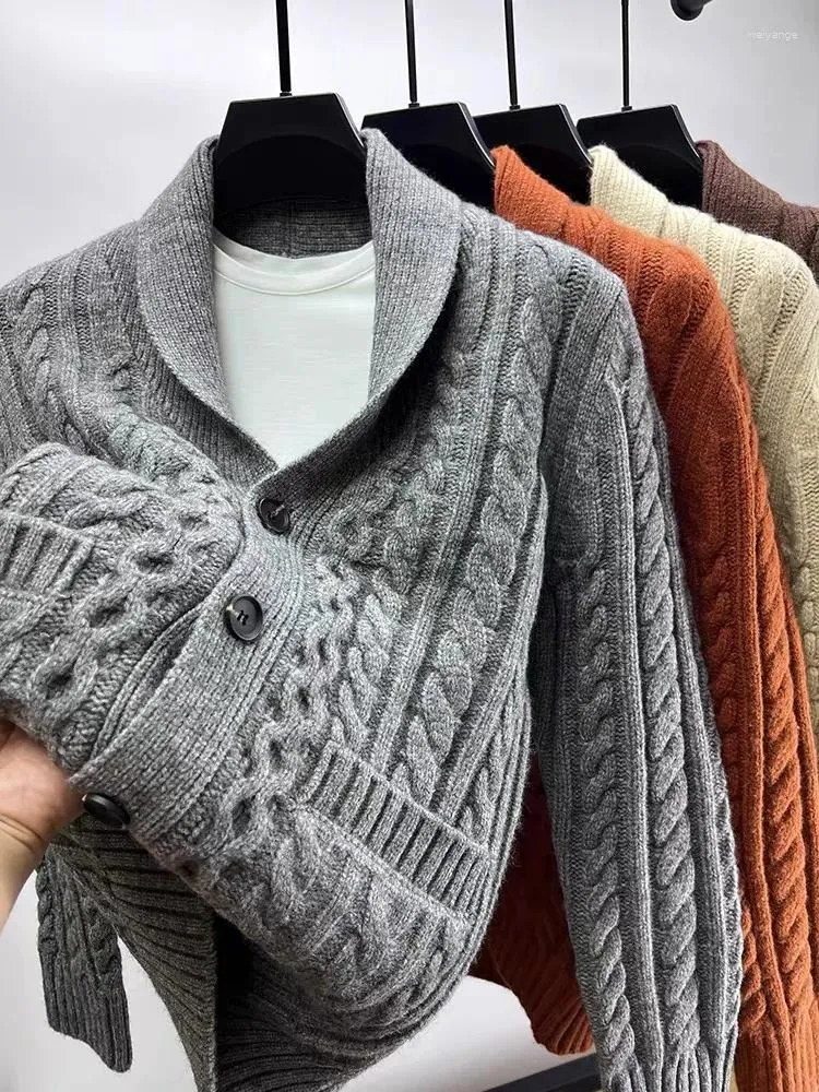 Herrenpullover, leichter Luxus, personalisierter Jacquard-Strickjacke, Herbst/Winter, modischer Schalkragen-Pullover, verdickter Mantel