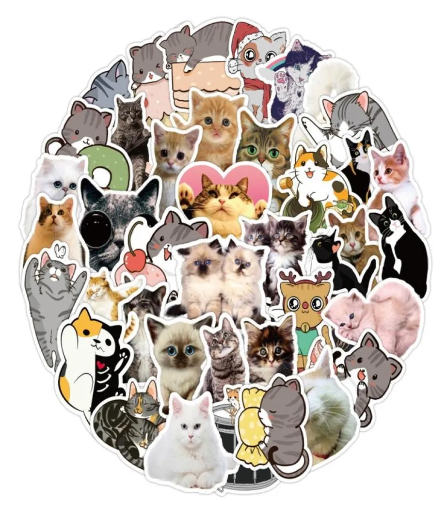 50Pcs Cartoon Cute Cat Stickers Pack Nonrandom Graffiti Car Bike Luggage Sticker Laptop Skateboard Motor Water Bottle Dec6173762