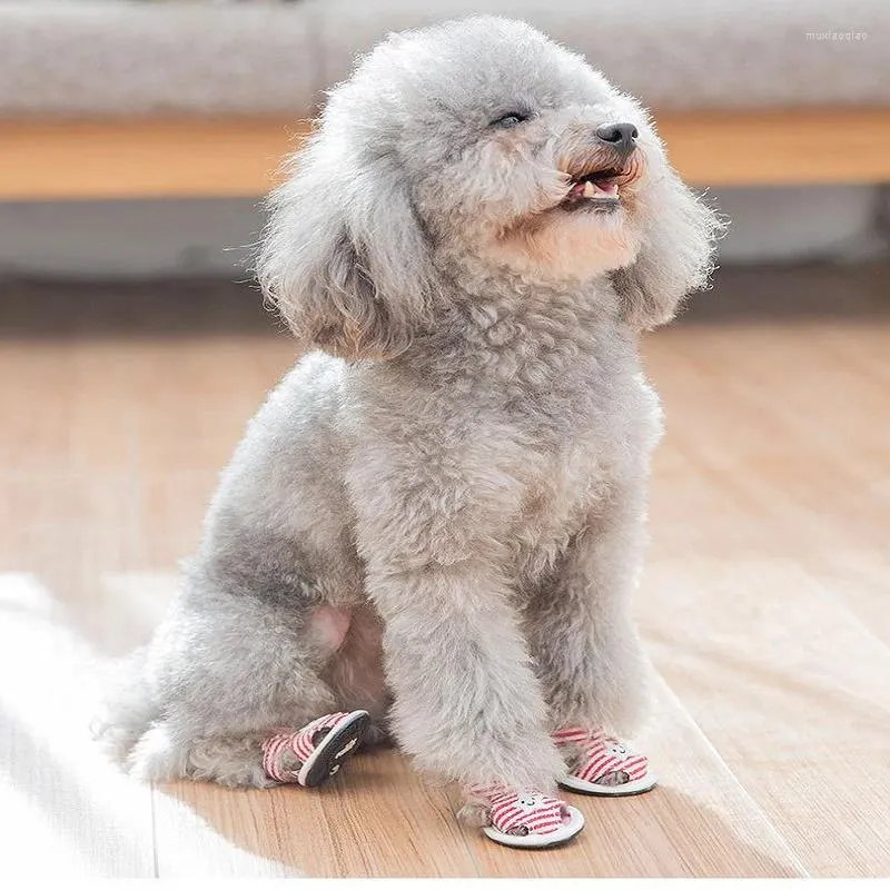 개 의류 귀여운 애완 동물 만화 Hond Schoen gestreepte sterren 샌들 힘줄 바닥 통기성이 아닌 강아지 애완 동물 양말 운동화