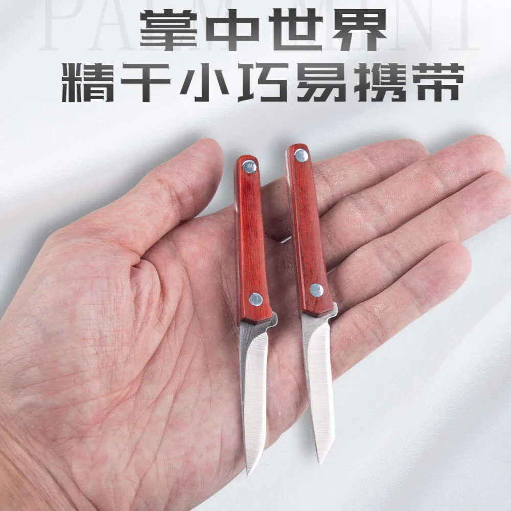 Mini Small Straight Portable Camping High Hardness Multi Functional Knife for Outdoor Survival 290939