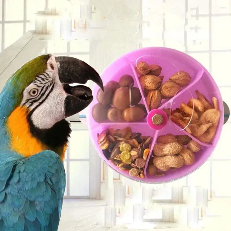 Autres fournitures d'oiseaux Perroquet Jouet de recherche de nourriture Creative Rotation Roue Graine Boule de nourriture Formation pour perruche Cockatiel Conure Gris africain