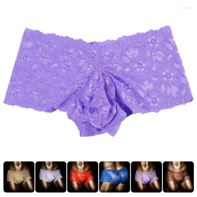 Underpants Low Waist Panties Boxer Plus Size M -3XL2024 Gay Men Sexy Erotic Underwear Lace Mens Penis Pouch Transparent