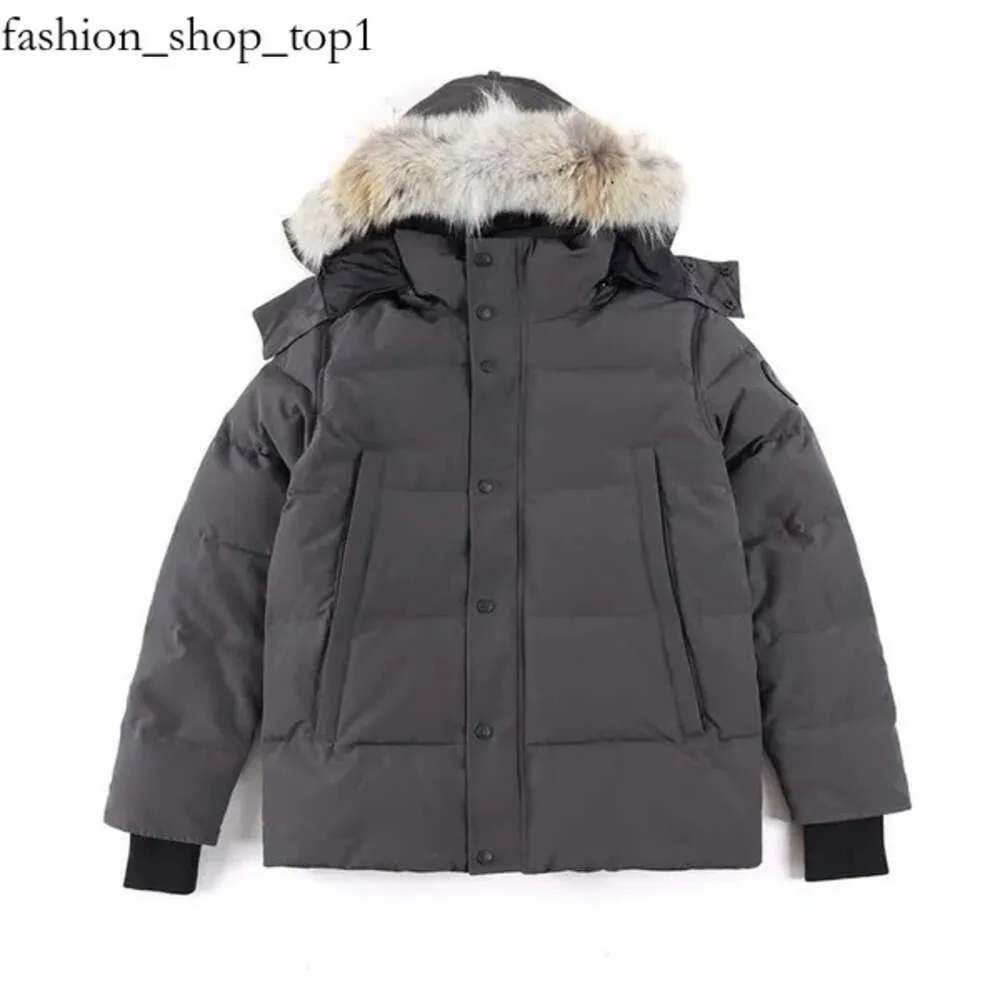Hoge kwaliteit heren Canada jas jas echte grote wolf bontjas kleding mode stijl winter bovenkleding parka Canada 522