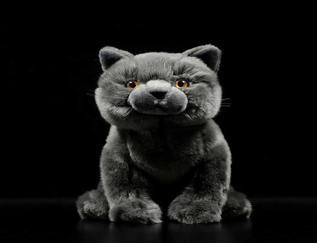 Simulation Cute British Shorthair Cat Tabby Felinae Stuffed Soft Plush Toy Grey Kitten Real Life Animal for Child New Year Gift Q02009261