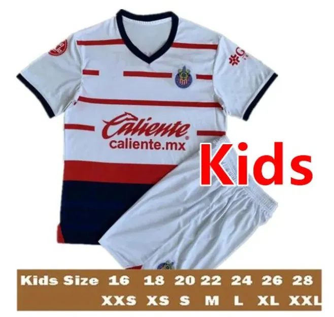 CHICHARITO 23 24 Chivas De Guadalajara 2023 2024 3 LIGA MX C. COWELL A.ZALDIVAR CALDERON J.MACIAS A.VEGA PONCE Alvarado 1 389 DHgate