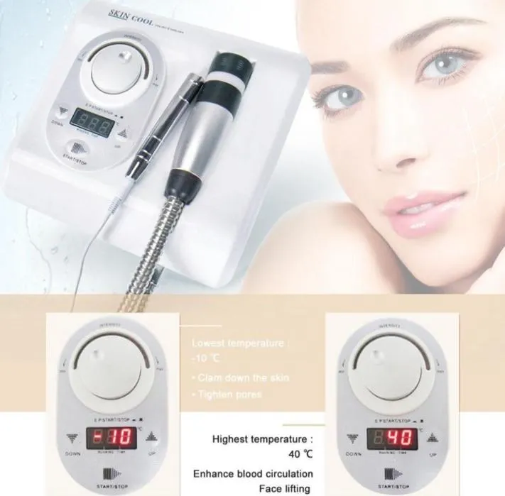 Portable 2 in 1 Cryo Needle Electroporation Mesotherapy Cold Hammer Facial Lifting Anti Aging Skin Cool Care Beauty Machi7798189