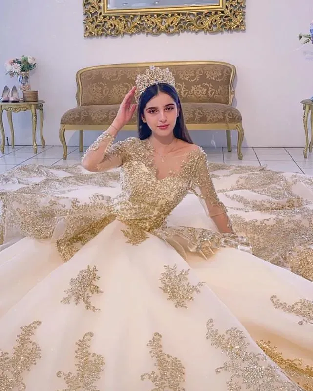 Champagne Gown Prom: Appliqued Long Sleeve Princess Ball Gown, Beaded  Quinceanera Dress For Masquerade Ball Prom Dresses From Gardenhome03,  $331.65 | DHgate.Com