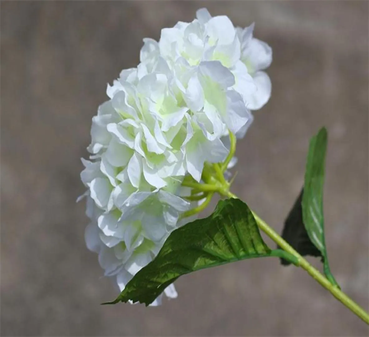 Seda única haste hortênsia 76cm2992quot comprimento flores artificiais hortênsia europeia grande cabeça de flor para peça central do casamento4504319